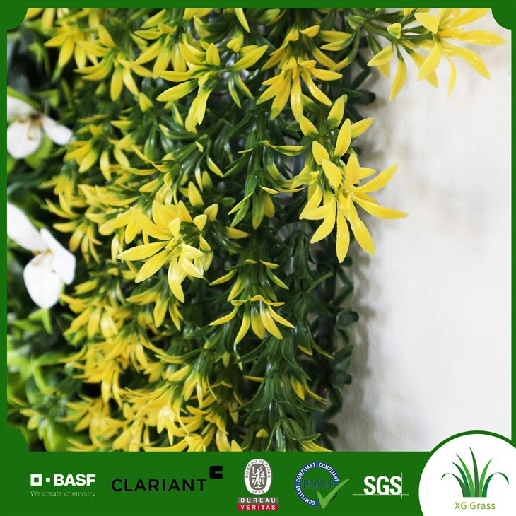 Függő növények beltéri fal