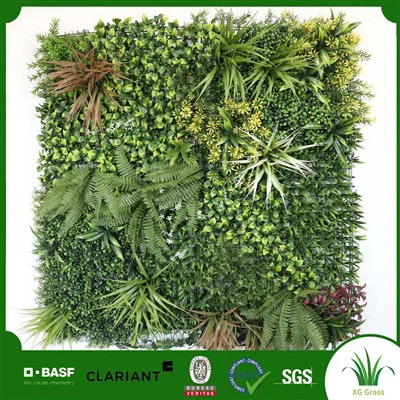 Beltéri függő növényfal