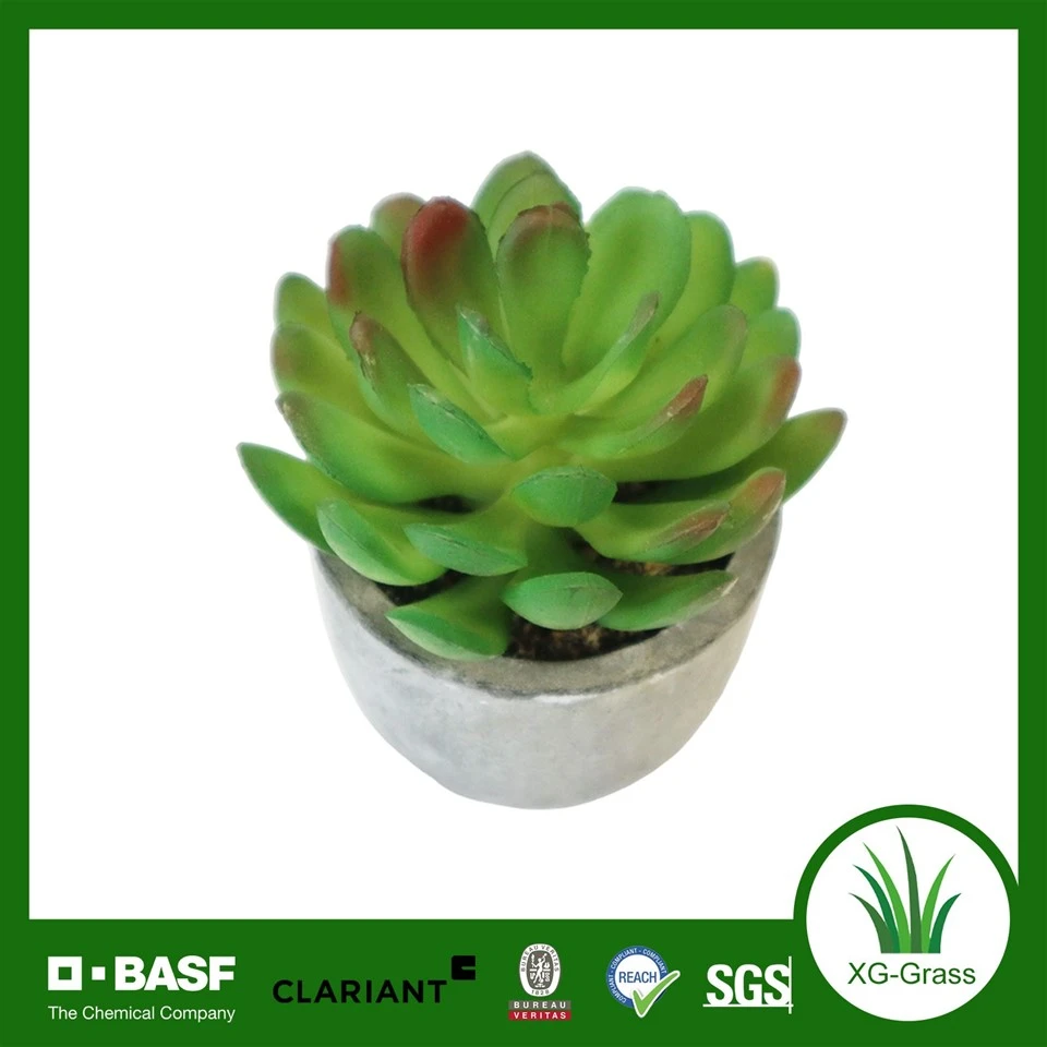 XG Premium Artificial Succulent Planter factory